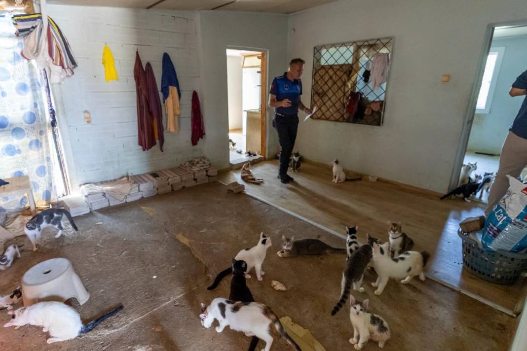 'Çöp ev' ihbarına giden ekipler adreste 100 kedi buldu 3